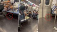 मेट्रो ट्रेन में चढ़कर चूहे ने जमकर किया तांडव, Viral Video में देखें कैसे हुई यात्रियों की हालत खराब